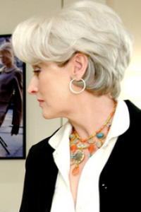 Devil Wears Prada, The